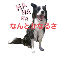 677418210