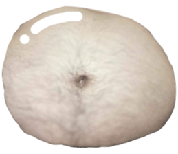 677425393