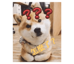 677432418