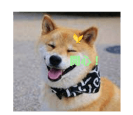 677432419
