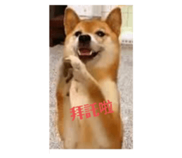 677432421