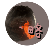 677432460