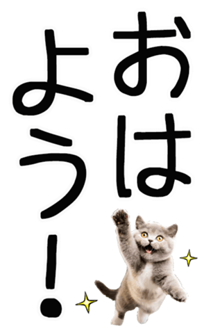 677445694