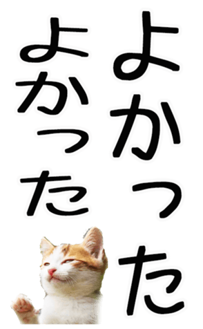 677445699