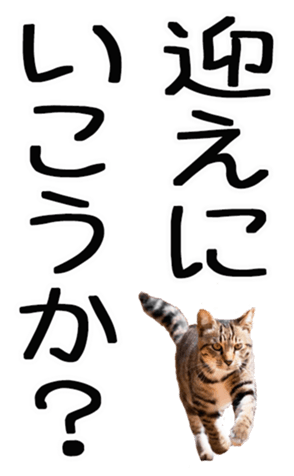 677445707