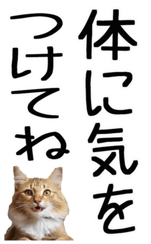 677445720
