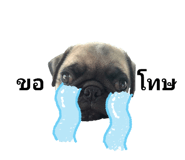 677469649