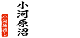 677487519