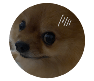 677499106