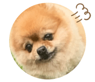 677499108
