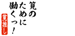 677523341