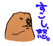 677528774