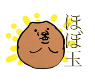 677528775