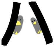 677545745