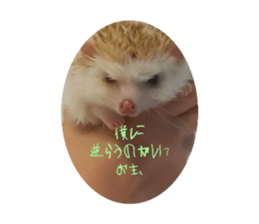 677545852