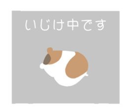 677546397