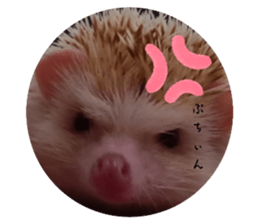 677567602