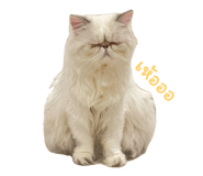 677570015