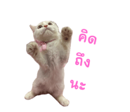 677570021