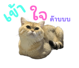 677570698