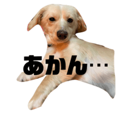 677577971