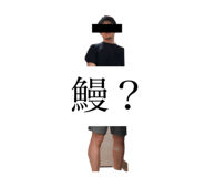 677579085