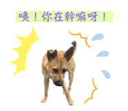 677580944