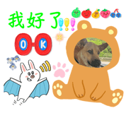677580948