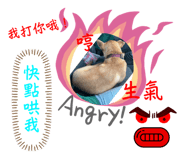 677580949
