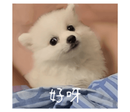 677581969