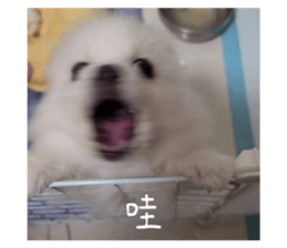 677581974