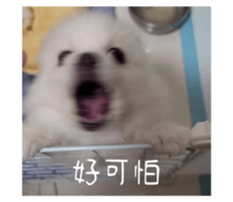 677581975
