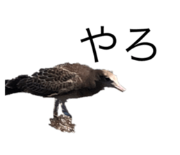 677605333
