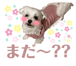 677630421