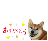 677638577