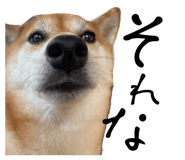 677638594