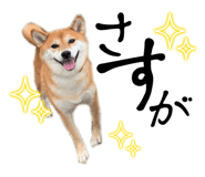 677638595