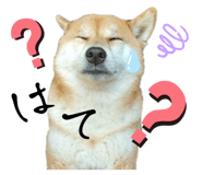 677638596