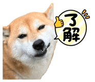 677638597