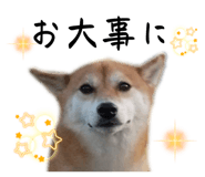 677638599