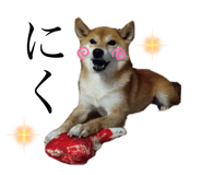 677638604