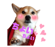 677638606