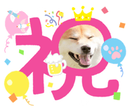 677638613