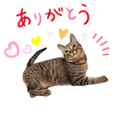 677647903