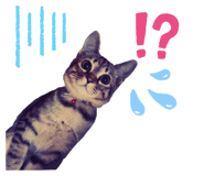 677647906