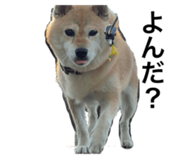 677657317