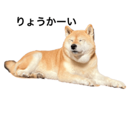 677657320