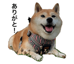 677657324