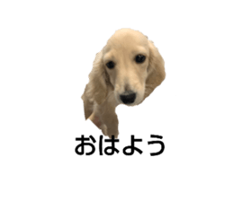 677688981