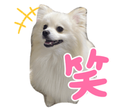 677689572